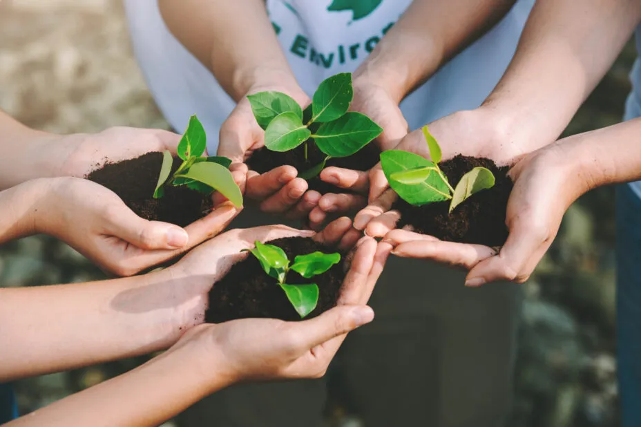 Close-up of joined hands holding soil and a young plant, symbolizing cohesion and commitment to nature.