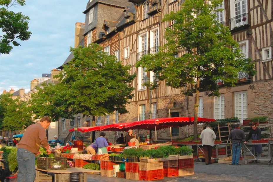 Étale de fruits et légumes sur le marché des lices, devant des immeubles à colombages